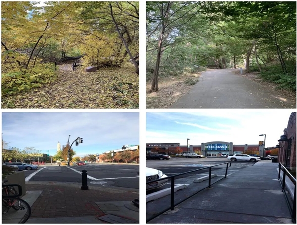 “野人饭”突然爆火!这届年轻人怎么了?