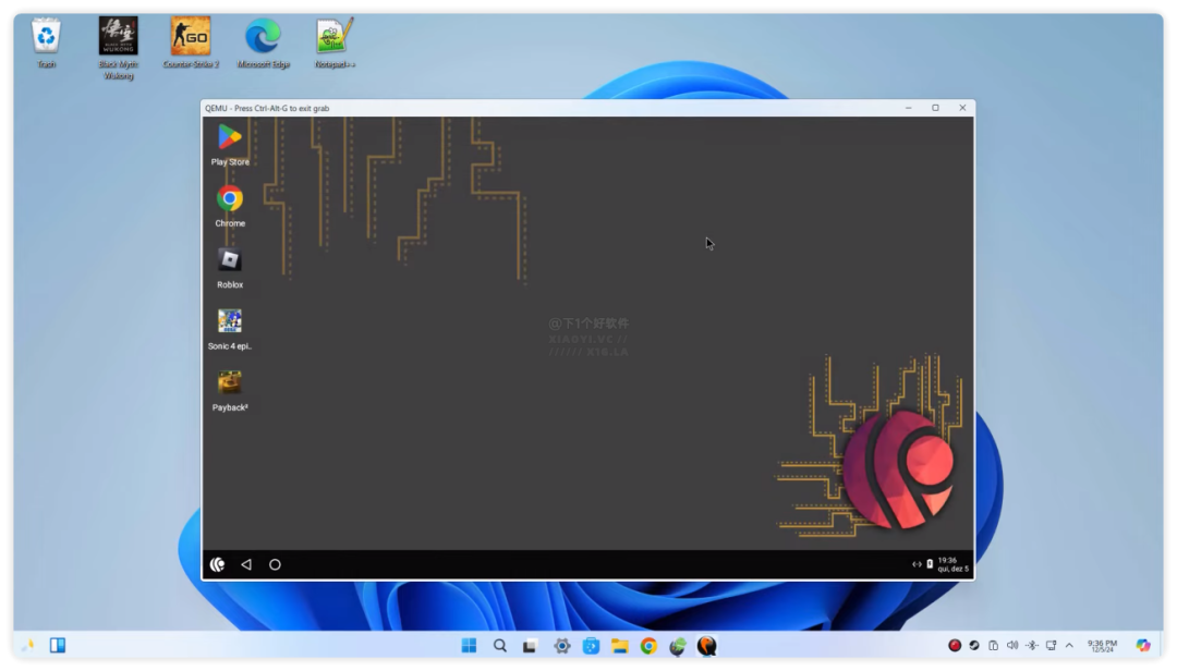 20241225-9 20241225-9