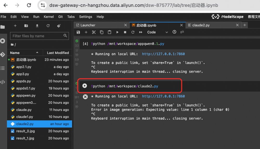 Notebook 运行示例