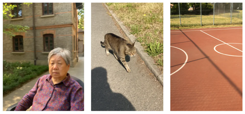 ChatGPT照片“以假乱真”,这是一份AI防骗指南