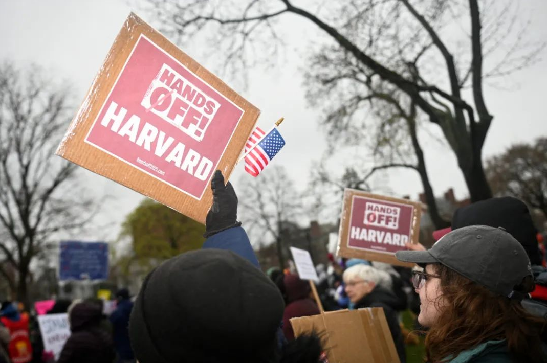 1749430376927643.png image.png