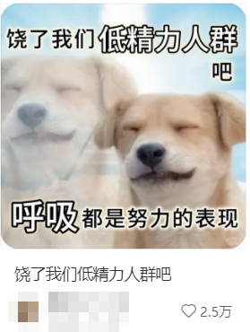 “低能量星人”原地集合:你不是懒 只是能量不足