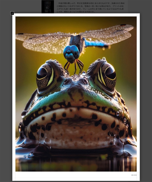 日本摄影赛一等奖被发现是AI生成:主办方紧急撤销其资格